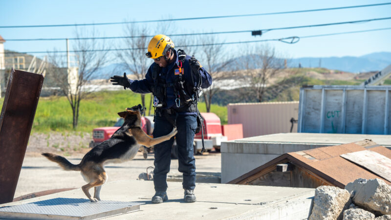 On Thursday, March 19, 2026, County of Los Angeles Fire Department (LACoFD) canine teams conducted intensive training at the Del Valle Regional Training Center to sharpen their search and recovery capabilities. These exercises ensure operational