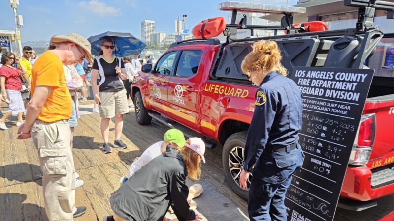 Lifeguard Division Teaches Hands-Only CPR at Pier 360 Festival
