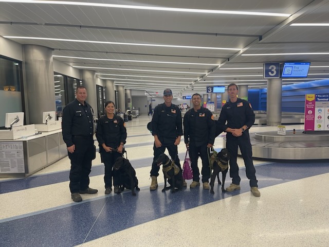 County of Los Angeles Fire Department California Task Force 2 (CA-TF2) Urban Search and Rescue canine teams, activated by the Federal Emergency Management Agency, returned home on Friday, August 25, 2023, after a 13-day deployment to Maui, Hawaii.