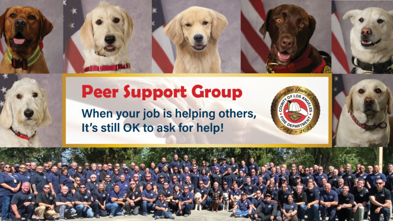 In recognition of National Suicide Prevention and Awareness Month, the County of Los Angeles Fire Department (LACoFD) is proud to spotlight the Wellness Division’s Peer Support Section for its essential role in Departmental operations and more importantly the wellbeing of the individuals in- and outside of Los Angeles County.