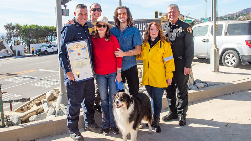 On Friday, January 24, 2025, in a touching and heartfelt reunion, County of Los Angeles Fire Department (LACoFD) Fire Captain Malcolm Dicks was reunited with Patty Philips and her dog, Koda, at Fire Station 70 in the City of Malibu.