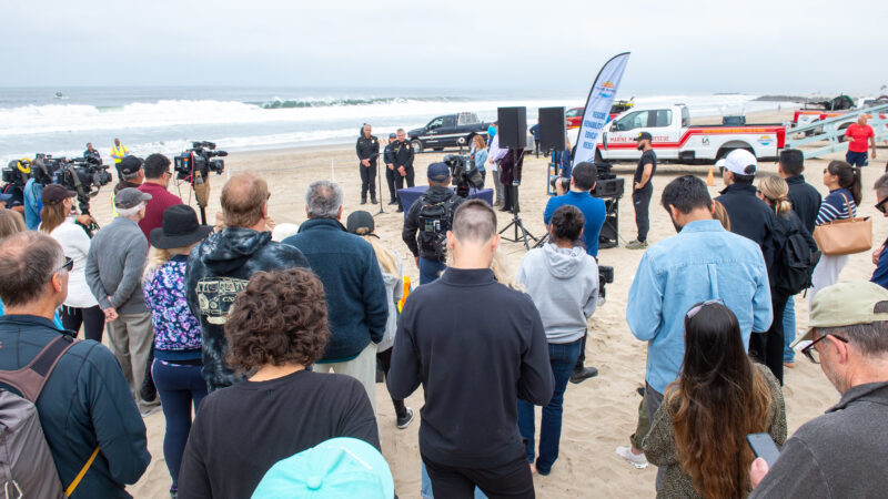 On Wednesday, June 4, 2025, Fire Chief Anthony C. Marrone joined Los Angeles County Third District Supervisor Lindsey P. Horvath, the Marine Mammal Care Center, the Department of Beaches and Harbors, and Lifeguard Division to release four sea lions into the waters at Venice Beach.