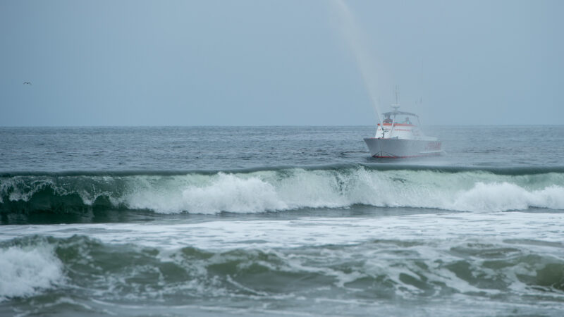 On Wednesday, June 4, 2025, Fire Chief Anthony C. Marrone joined Los Angeles County Third District Supervisor Lindsey P. Horvath, the Marine Mammal Care Center, the Department of Beaches and Harbors, and Lifeguard Division to release four sea lions into the waters at Venice Beach.