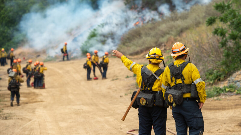 The County of Los Angeles Fire Department (LACoFD) conducted a successful two-day prescribed burn in Tonner Canyon on June 5 and June 6, 2025.