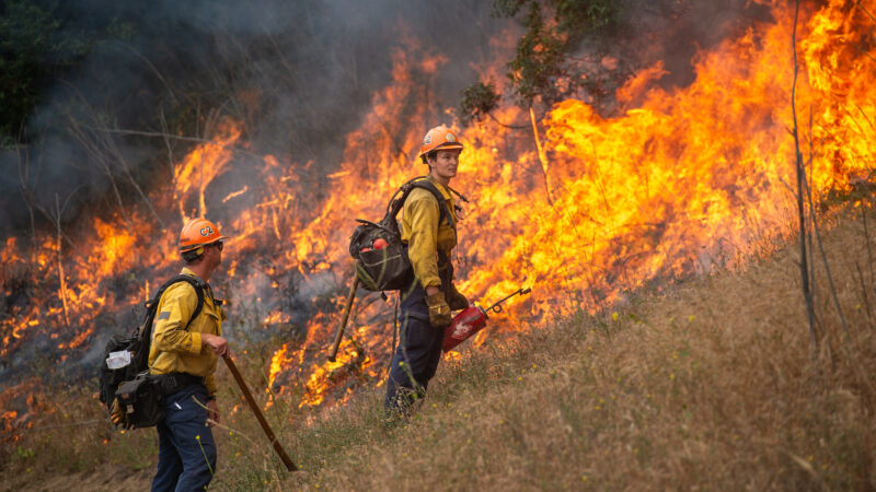 The County of Los Angeles Fire Department (LACoFD) conducted a successful two-day prescribed burn in Tonner Canyon on June 5 and June 6, 2025.