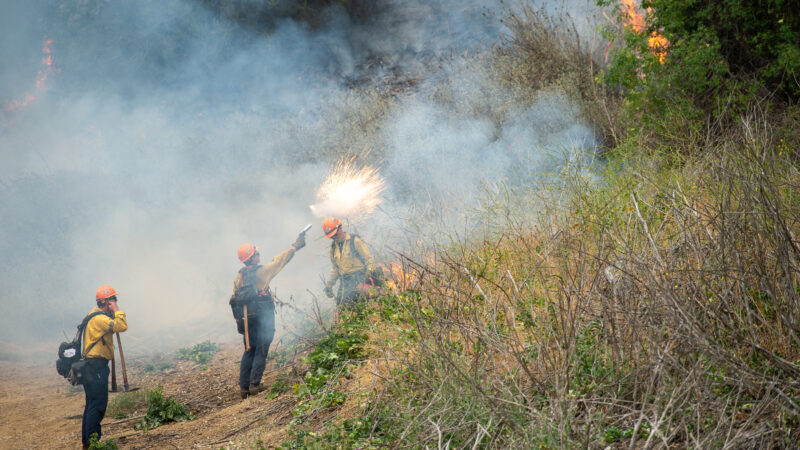 The County of Los Angeles Fire Department (LACoFD) conducted a successful two-day prescribed burn in Tonner Canyon on June 5 and June 6, 2025.