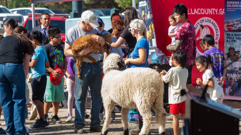 On Friday, June 20, 2025, the County of Los Angeles Fire Department (LACoFD) joined the City of Santa Clarita and the Los Angeles County Sheriff’s Department for the annual Wildfire Safety Press Conference.