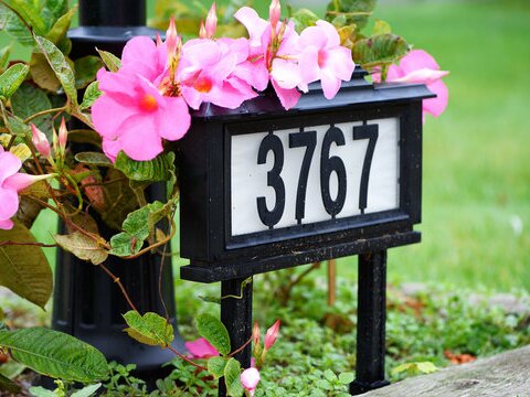 address image example